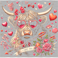 Valentine's Day-QRJ  5310